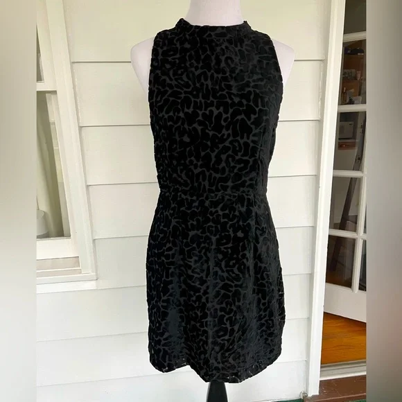 Dolce Vita Dresses | Dolce Vita Womens Black, Leopard Print Dress with Gold Button Neck Closure | Color: Black | Size: S | Stylediva3'S Closet